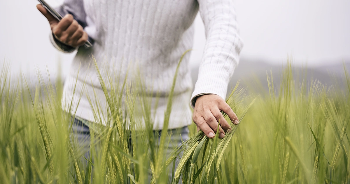 ¿Qué es un cementerio ecológico?