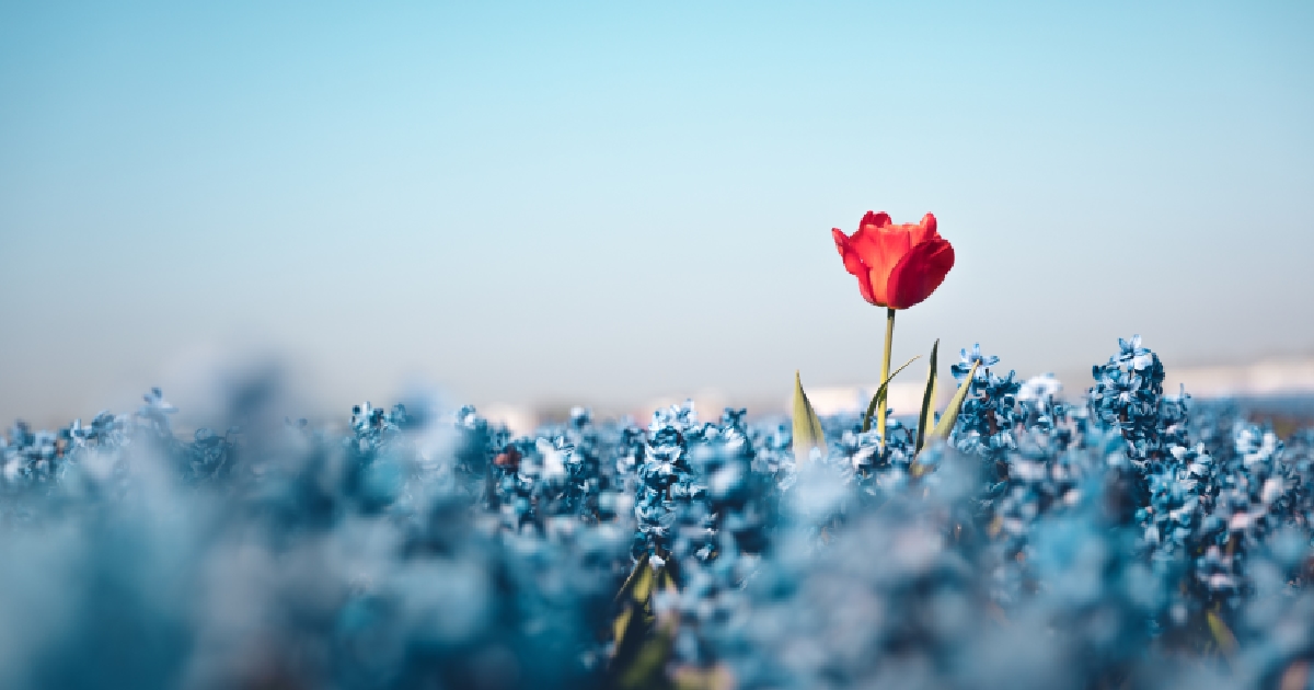 ¿Qué son las coronas funerarias?